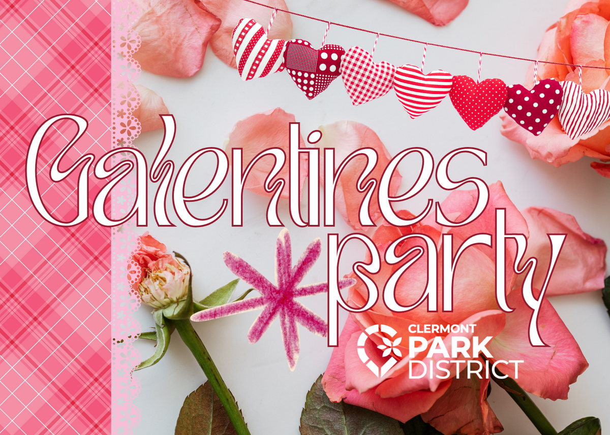 Galentine's Party is written over a collage of roses and pink plaid. A garland of hearts stretches over the top of the image.